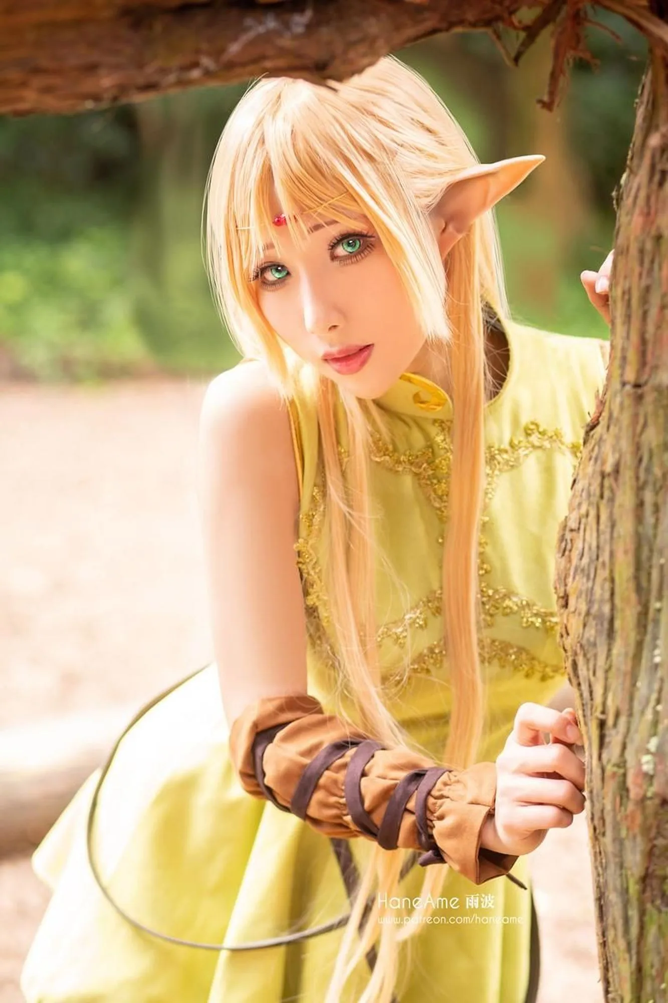 图片[4]-No.035-Record of lodoss Deedlit [6P]-coswz-cos王者