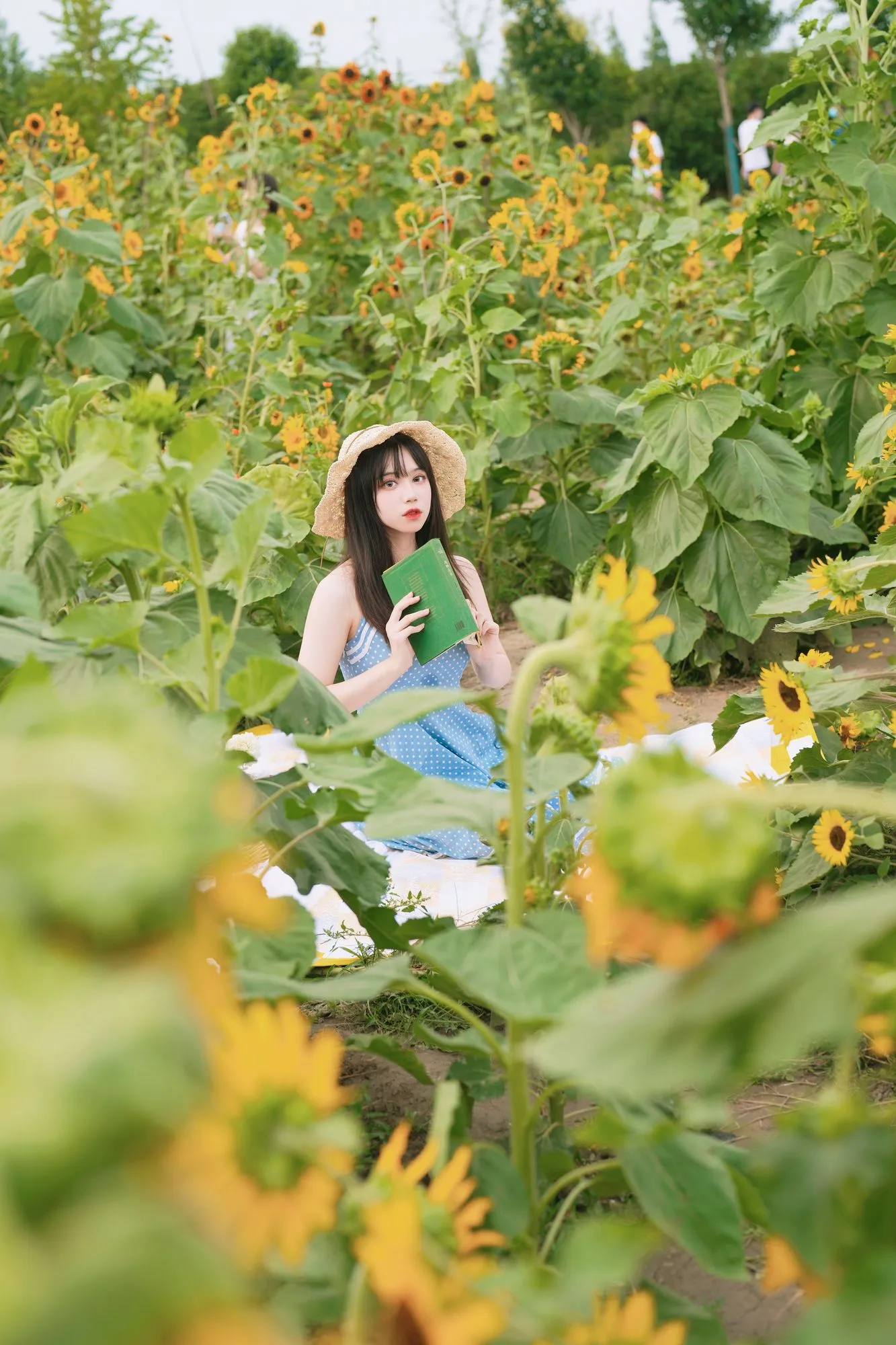 图片[4]-No.071 – 向日葵的约定 [32P]-coswz-cos王者