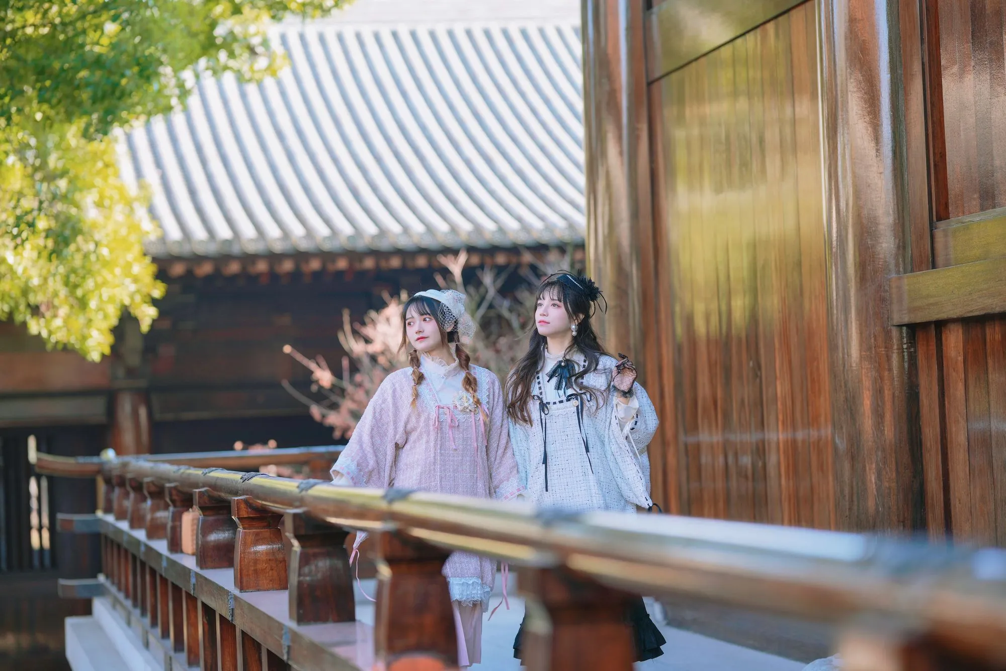 图片[3]-No.134 – 西洋姐妹花 (&贰加六) [34P]-coswz-cos王者
