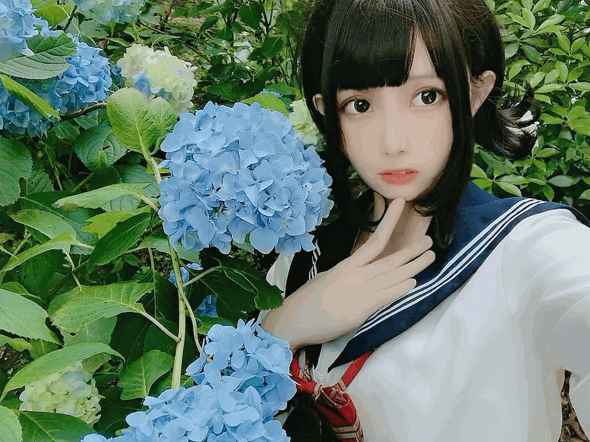 No.125 – 「凛子酱」紫阳花 [27P]-图妖社