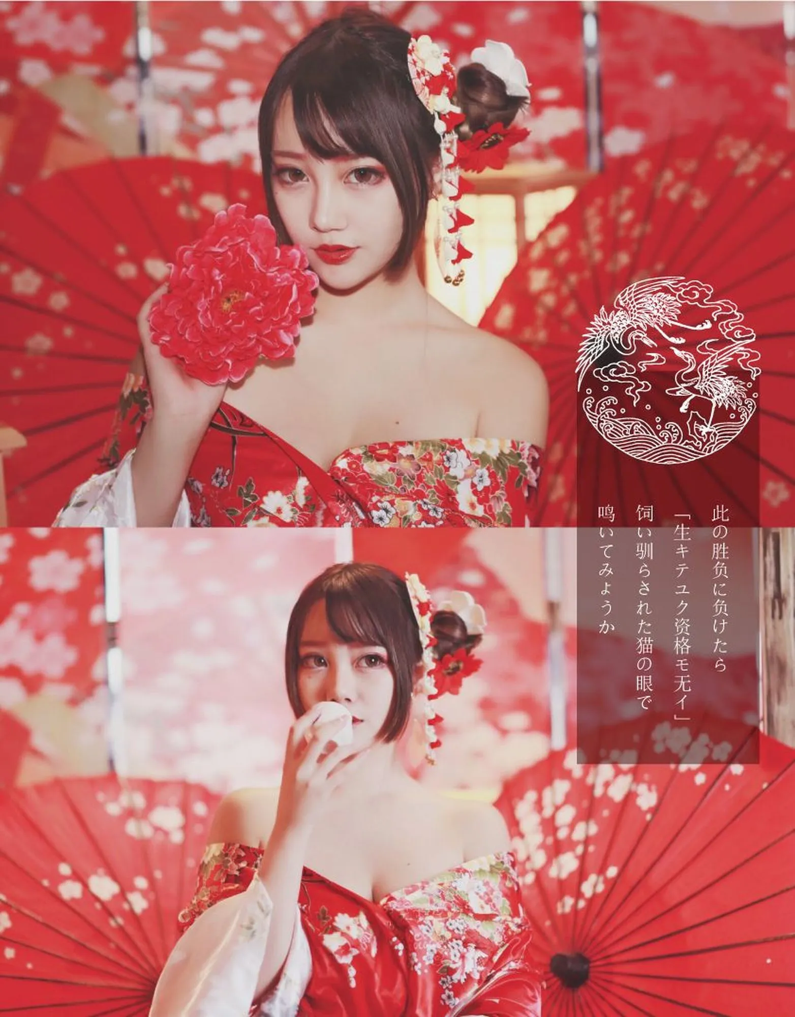 图片[4]-No.295 – 「Halo_酱」爱宕新春旗袍 [17P]-coswz-cos王者