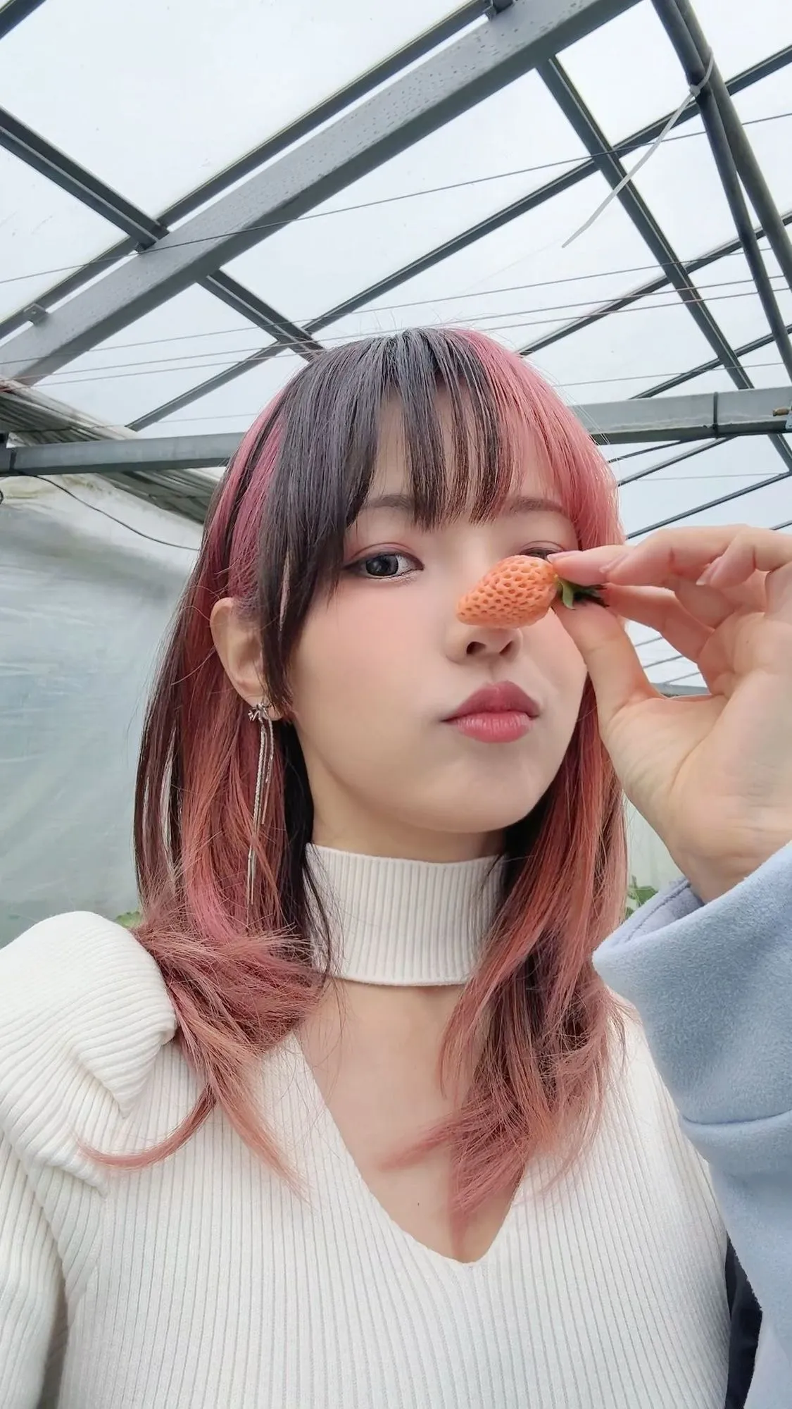 图片[5]-No.108 – Strawberry Picking Date [34P 2V]-coswz-cos王者