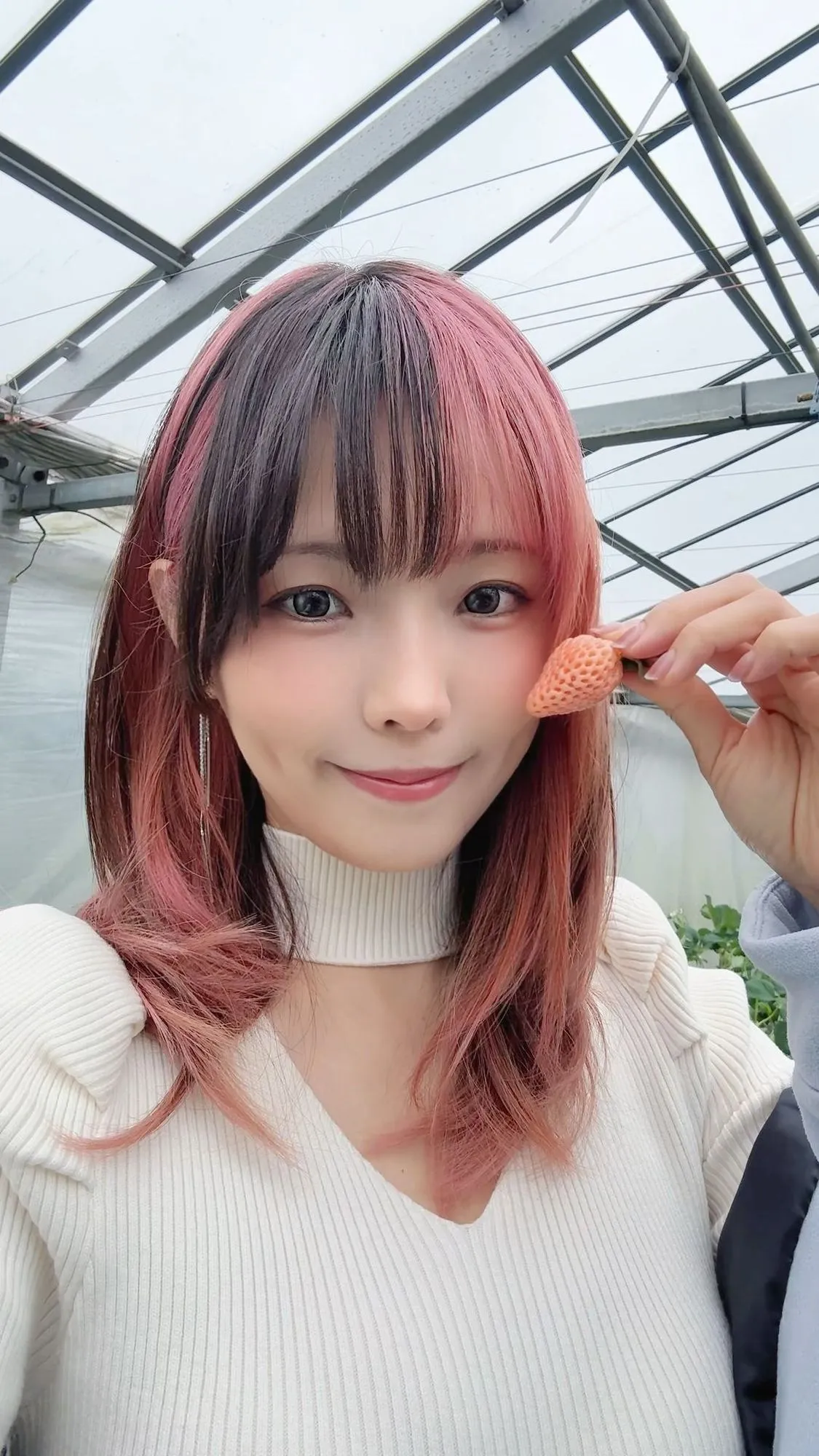 图片[4]-No.108 – Strawberry Picking Date [34P 2V]-coswz-cos王者