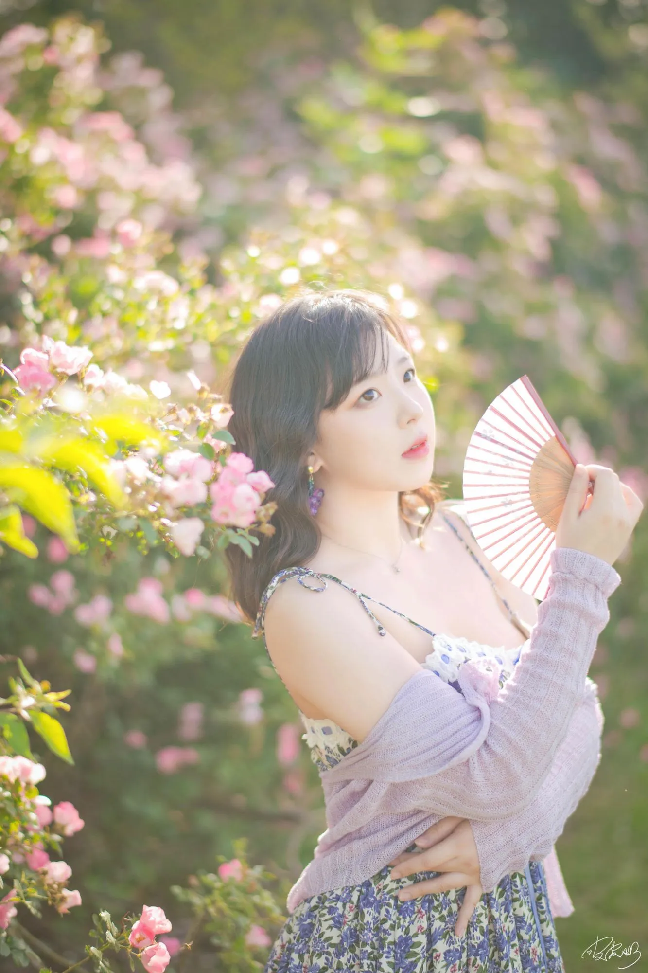 No.062 – 蔷薇花 [37P]-图妖社