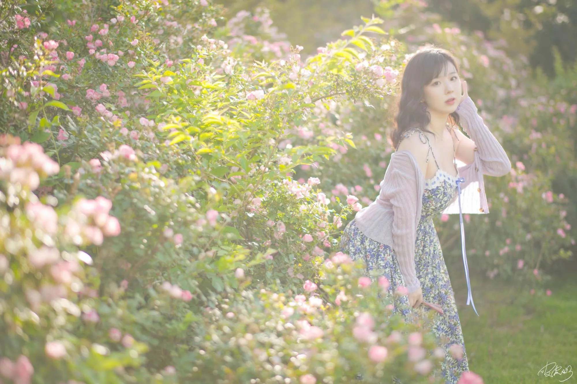 图片[2]-No.062 – 蔷薇花 [37P]-coswz-cos王者