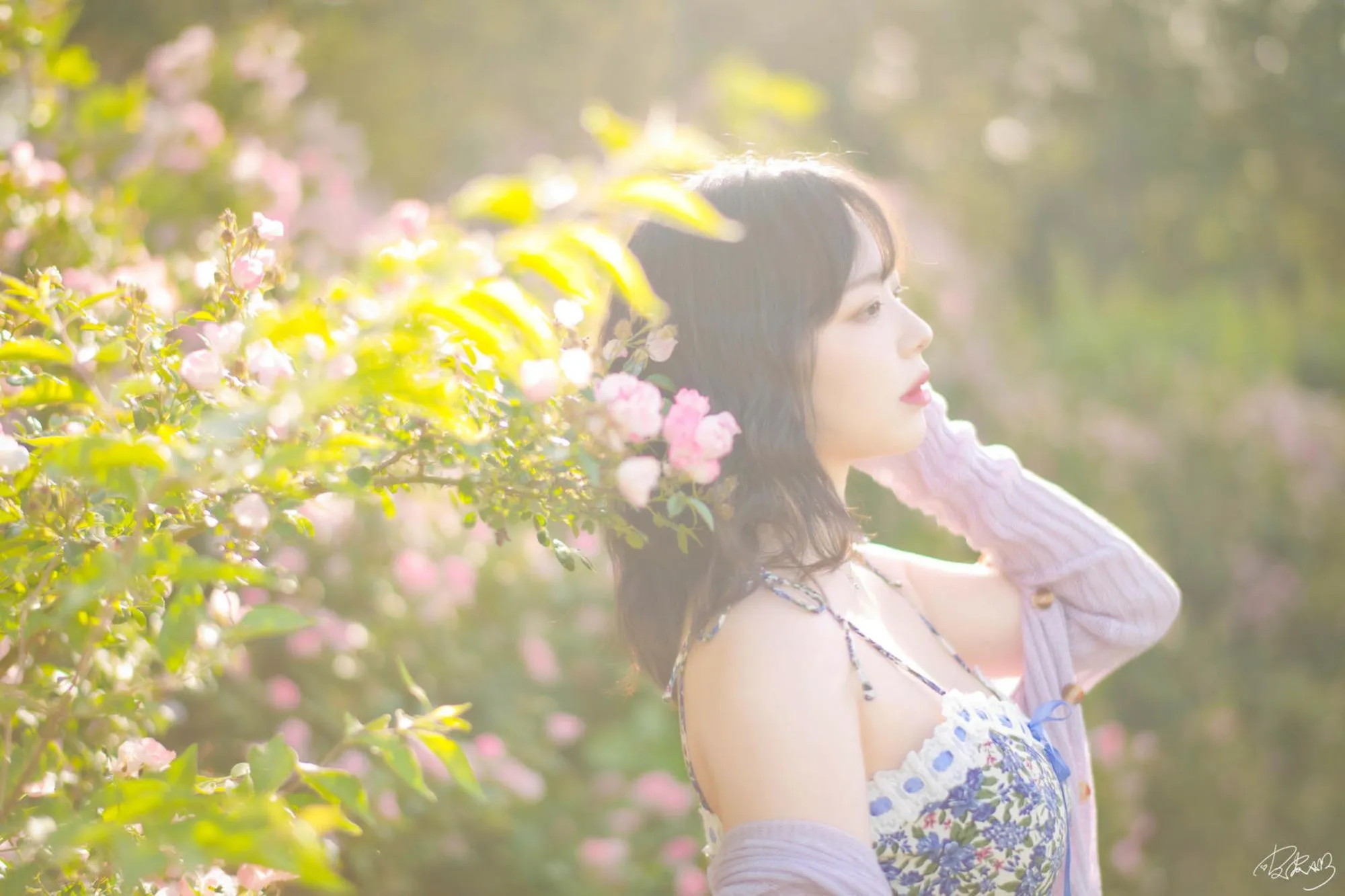图片[6]-No.062 – 蔷薇花 [37P]-coswz-cos王者